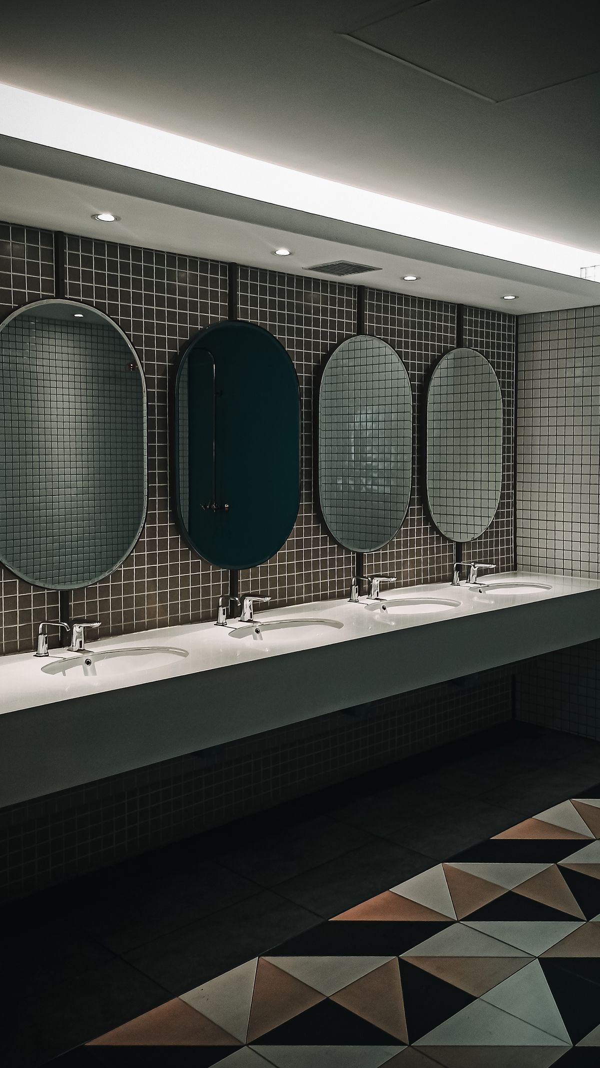 Washroom Hygiene